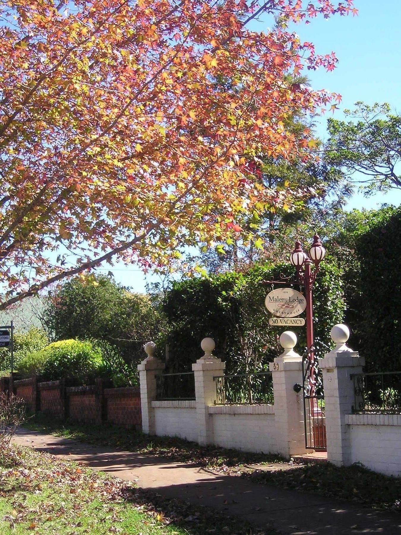 Maleny Lodge Exterior photo